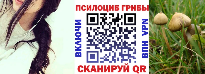 Псилоцибиновые грибы Cubensis  даркнет сайт  Калининград 